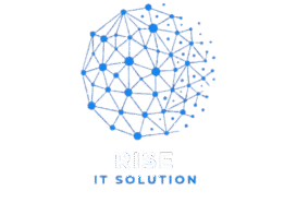 riseitsolutions.in